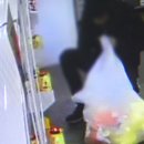 인형뽑기나라 이미지