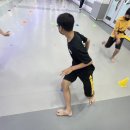 용인대지노태권스쿨 이미지