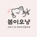 봄이오냥 이미지