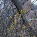 장수천약수터 이미지