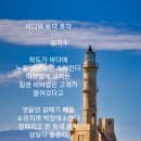 총각갈매기 이미지