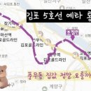 LH 메디칼 | [재당첨 제한이어도 청약할 수 있다?] 김포 풍무역 C5 호반써밋II 청약 정보 총정리(분양가상한제란?)
