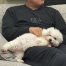 김밥나라오치럭키점 | 입춘, 입돌아가게 추운 봄