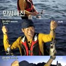 참바다 이미지