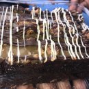 Chocolate fudge turtle brownie 이미지