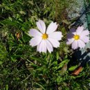 목골농장 이미지