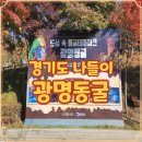 문화로85번길 | 광명동굴 주차장 최신 팁 경기 실내데이트 나들이 뜻 깊은 후기