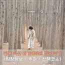 아가페 | 전북 익산 아가페정원 방문 후기 (입장정보 / 주차 / 산책코스)