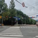 용호초등학교사거리 이미지