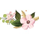 변산서중학교 이미지