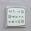 한달여행 2편 뚜벅이 제주여행 제주시새우리 카페송키 파생 쇠오름정육식당 애월 끌림365 게스트하우스