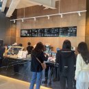 파스쿠찌 조각케이크 가격 센트로대전DT점 신상카페
