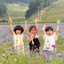 평창 휘닉스파크 블루캐니언 후기｜그린동 스탠다드 20평 숙박, 5살 아이와 1박 2일 여행