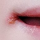 부광약품주식회사 이미지