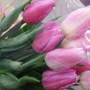 선길농장 이미지