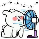 스타카워시 이미지