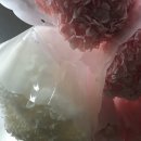 롯데백화점 대구역 뒷편 이미지