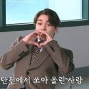 네일데이주