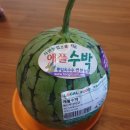 연천 허브빌리지펜션 조식 장보기 바베큐 후기