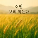 소만 Daum카페