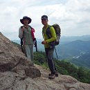 영산포홍어거리 이미지