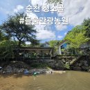 들물 관광농원 | 순천 청소골 들물관광농원 닭구이 수영장 계곡 여름여행지