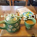 어리석은물고기