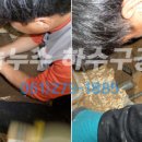 둥근섬로 이미지