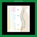 엘리나 필라테스 이미지