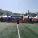 미아초등학교 이미지