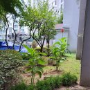 대성안경 이미지