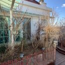 정원출장 이미지