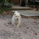 혜란농장 이미지