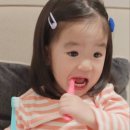 충청B/R어린이집 | 국내생산 부드러운 아기칫솔 브리스틱 에르고 1단계 세살아기 사용후기