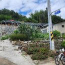 운대1리 이미지