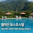 책앤아웃 호스텔 | [공지] 월악산유스호스텔 애견동반 가능? 수영장 물온도 및 리뉴얼 후기 총정리
