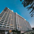 오딘당구장 | 홍천 비발디파크 카페 더오딘베이커리 &amp; 팔봉산관광지 등산정보