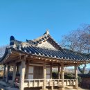 석탄정(石灘亭) 네이버블로그