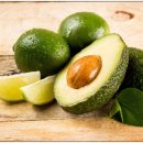 비타민도매몰 이미지