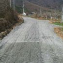 능금세상