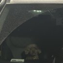 동성카센타 이미지