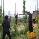 사랑농장 2 이미지