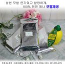 제이J스칼프