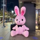 뚱이하우스 | 신촌 데이트 술집 추천 [칵테일하우스] 후기