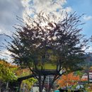 지토농장 이미지