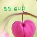 행운 티스토리