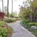 도안 한라비발디 이미지