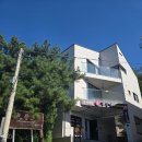 무신 | 경북 예천 점집 갓신내림 궁무신당 신점 보고 온 후기!