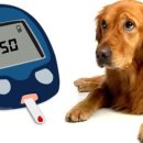 해밀동물병원 이미지