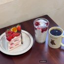 터틀토퍼 | 서울/송파 송리단길 케이크 맛집 터틀힙 잠실점 후기 오픈런 성공! 딸기케이크 맛집 / 데이트추천 잠실...